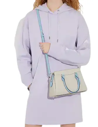 Coach Mini Darcie Carryall