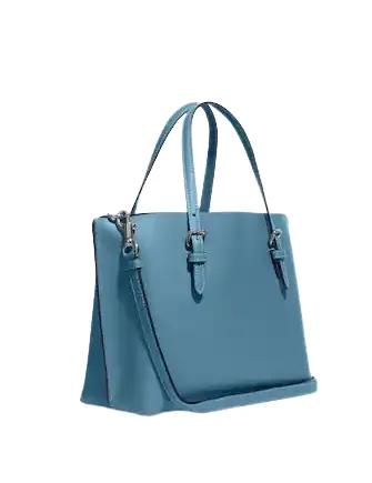 Coach Mollie Tote 25