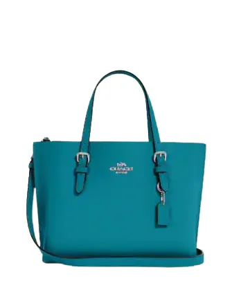 Coach Mollie Tote 25