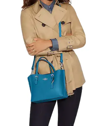 Coach Mollie Tote 25