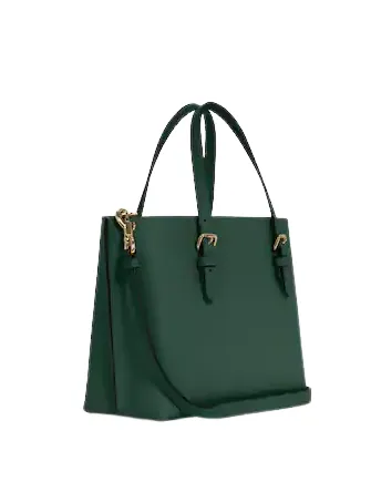 Coach Mollie Tote 25