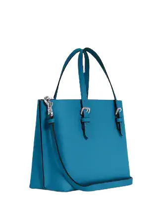 Coach Mollie Tote 25